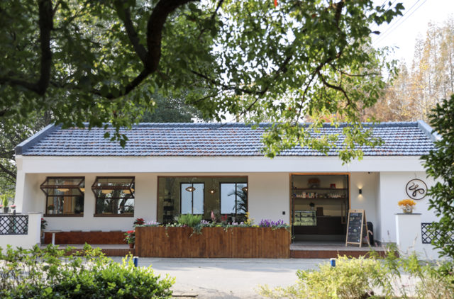 旅超大赛！金山主打“免费潮”，周末快来薅羊毛