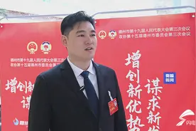 2024德州两会丨市人大代表祖员垒：发挥驻京企业家纽带作用 为陵城经济发展贡献力量图片