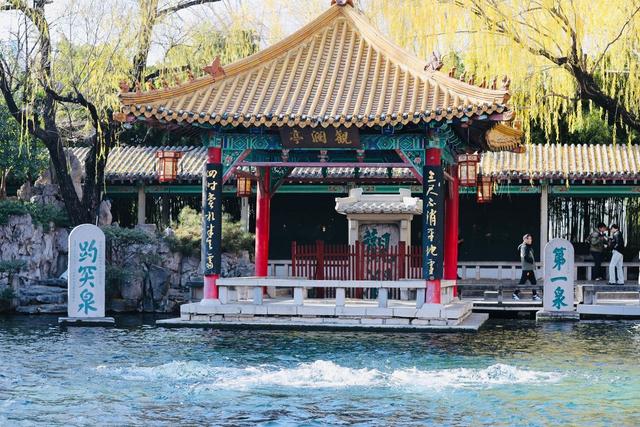 新视界｜如诗如画！冬至趵突泉 景色别样新