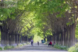 第七届“美丽街巷我的家”作品评选揭晓图片