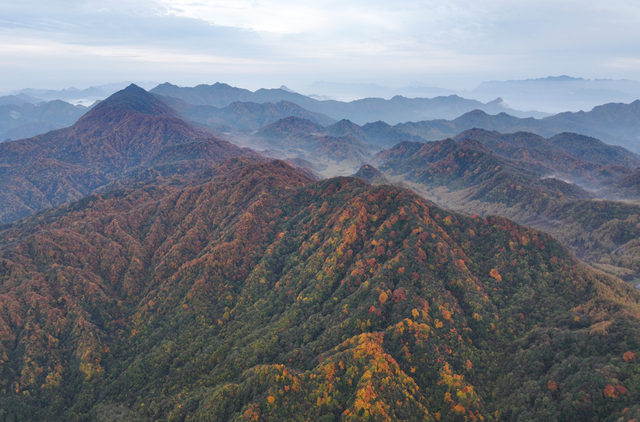 余先怀专栏｜秋染十八月潭
