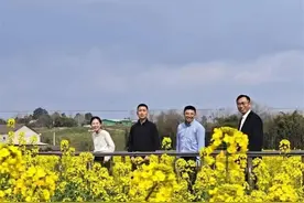 油菜花小镇干部“尬舞”，要流量更要办实事图片