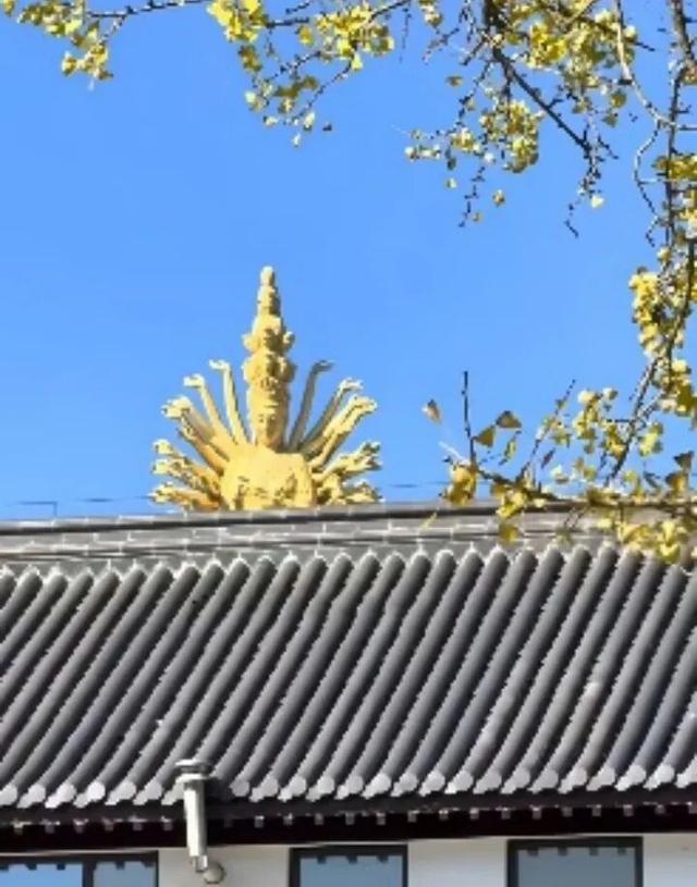 湖南绝美银杏打卡地，太出片了