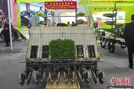 2024中国国际农业机械展览会在长沙开幕图片