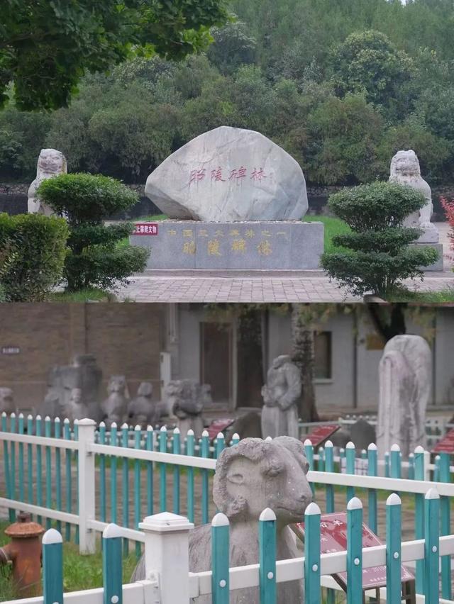 唐陵西线丨乾县-礼泉 乾崇靖建昭陵（唐代露天石雕艺术博物馆）（9/30-10/4）