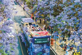 云南昆明：打卡紫色花海图片