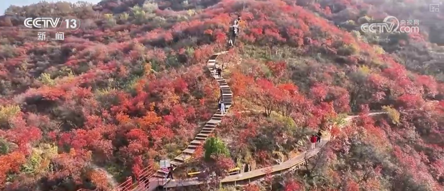 “斑斓秋色+新潮玩法”点燃赏秋游新热力 文旅新消费活力十足