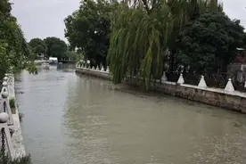 上观报道后，威尼斯花园小区相关河道已完成蓝藻清理，将开展清淤图片