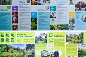 珍贵兰花、苦苣苔科植物……上海植物园这场“生生不息”珍奇植物展带你领略自然界的神奇图片