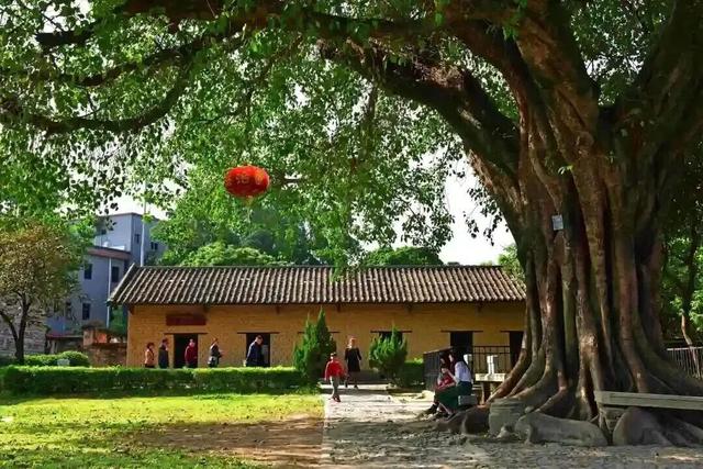 免费！8折！花都景点限定优惠，这场古风穿越局我先冲了→