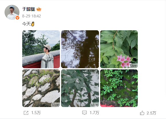 于朦胧母亲发声：于朦胧因饮酒意外坠楼，希望大家理性看待这一意外事件	，不再进行猜测