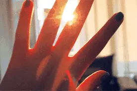 据说这是最适合春天干的事图片