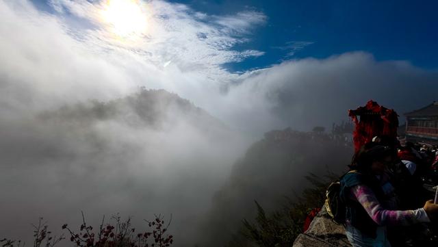 “慢”观山海后，“岱青海蓝”之约也在美丽山东的日常里