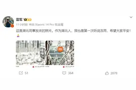 整个武汉冻成了个“冰糖葫芦” 雷军：作为湖北人也是第一次听说冻雨图片