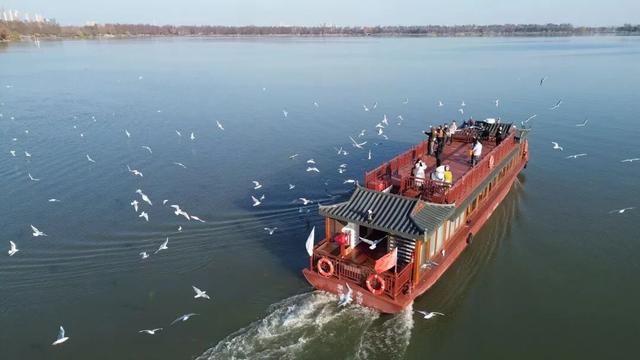 工作日人也多！武汉多地爆火，还有市民特意跨江赶来