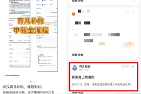部分地区透露：育儿补贴申领系统8月26日到27日正式上线图片