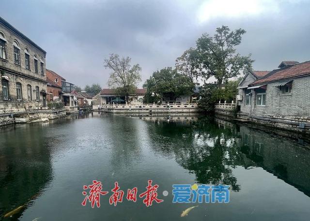 一年四季 泉在济南丨秋染泉池 静美如画