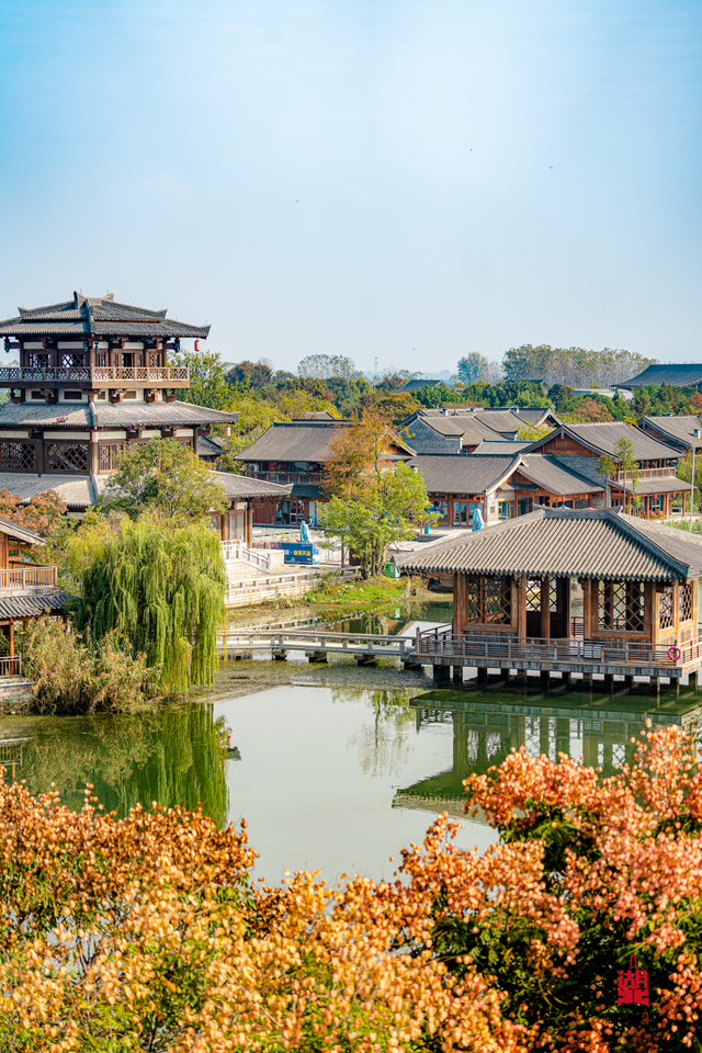宝藏仙桃，太“鲜”啦！（采风招募）