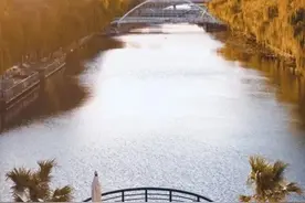 秋末冬初！亮马河景如画，意正浓图片