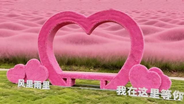 央视报道!就是现在!最佳赏叶期!还有玩法大升级……