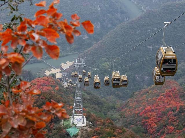 看万山红遍！河南赏红叶指南来啦→