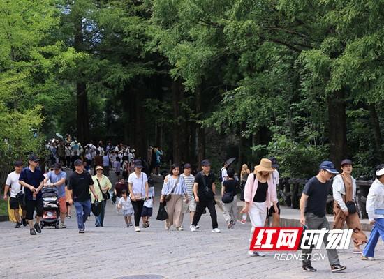 张家界国家森林公园天子山游人如潮 （组图）