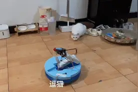 会捡垃圾能干家务，元萝卜给扫地机器人加了机械臂图片