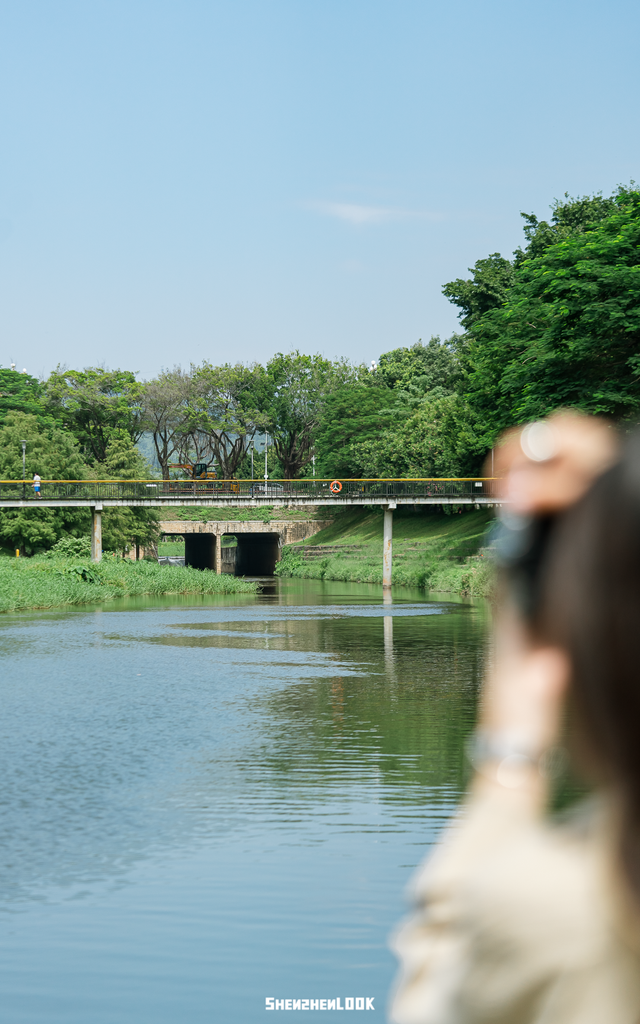 “看牛看海看夜景，深圳骑行路线精选”