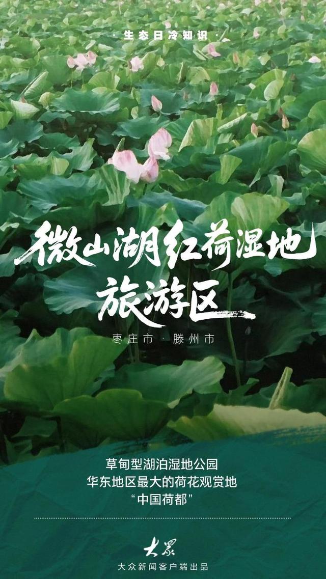 探访齐鲁大地的绿色“角落”：看看家门口的小惊喜