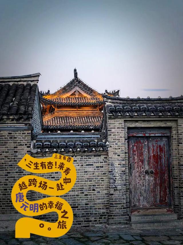 这6个淮南银杏绝美打卡地！码住刷爆朋友圈！