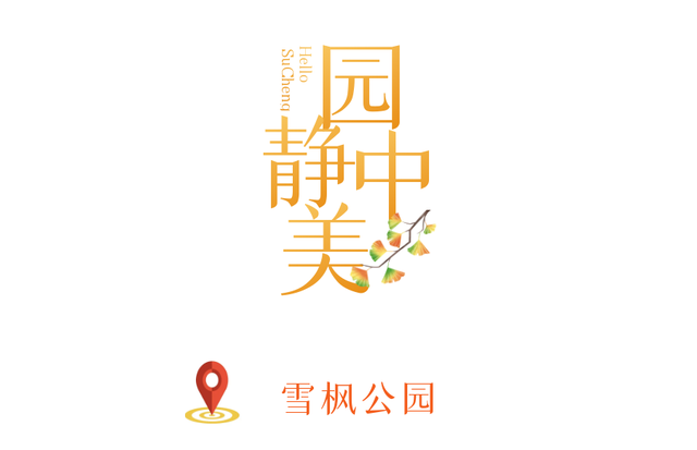 绝美！走，打卡去！