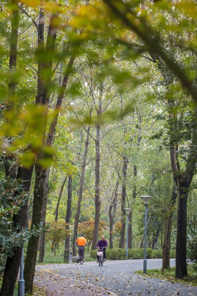 一大波美图袭来！长宁赏秋秘境藏不住啦～