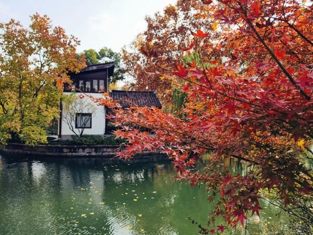 在静安，藏着一处红枫黛瓦的冬日中式美学“顶流”，猜猜在哪里？