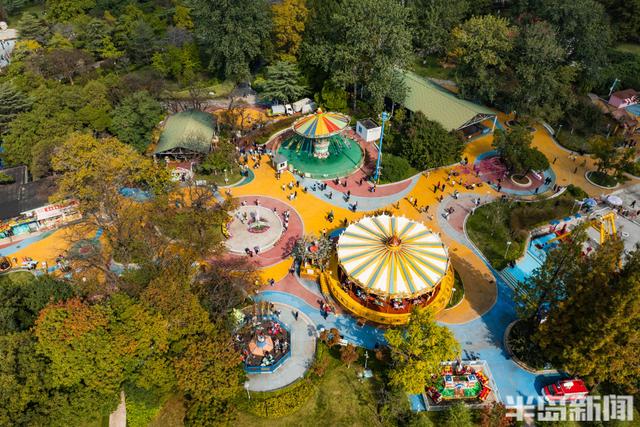 青岛深秋处处“鎏金”，美不胜收！