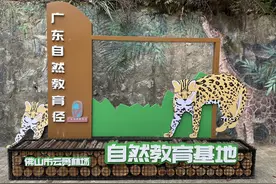 广东着力打造自然教育示范省图片