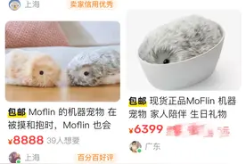 氪金买玩偶当娃“养” 这届年轻人掉进“毛茸茸”的“圈套”｜2024，我为TA买单⑤图片