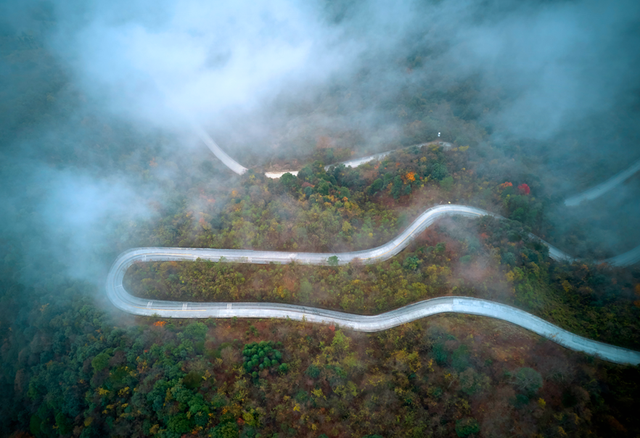 青睐绵阳 ‖ 云端公路 层林尽染！初冬驾游平武药丛山，限定版的视觉盛宴~