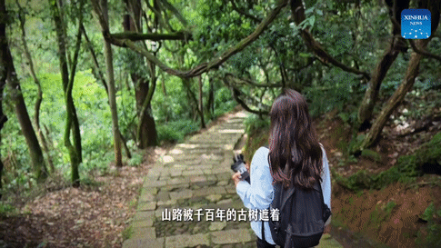 体验云南 | 通海日记