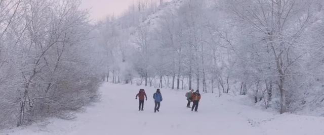 光影绽放中国行·跟着电影游呼伦贝尔：带你解锁海拉尔、牙克石的新玩法！