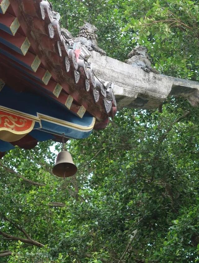 7000㎡粉黛花海+ “粉色童话世界”！深圳秋天必打卡→