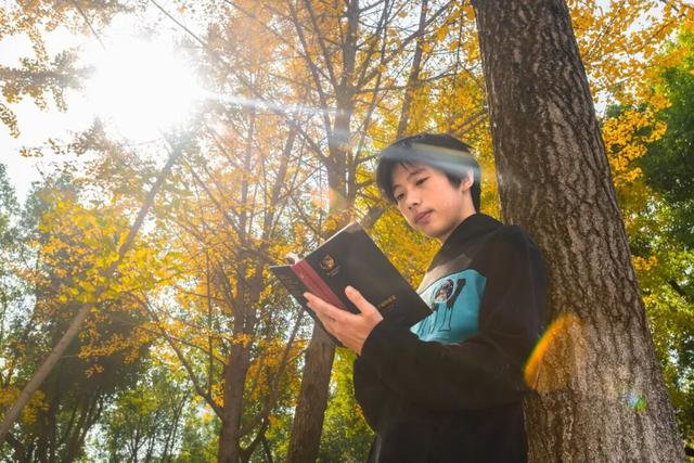 限时绝美！年度顶流！