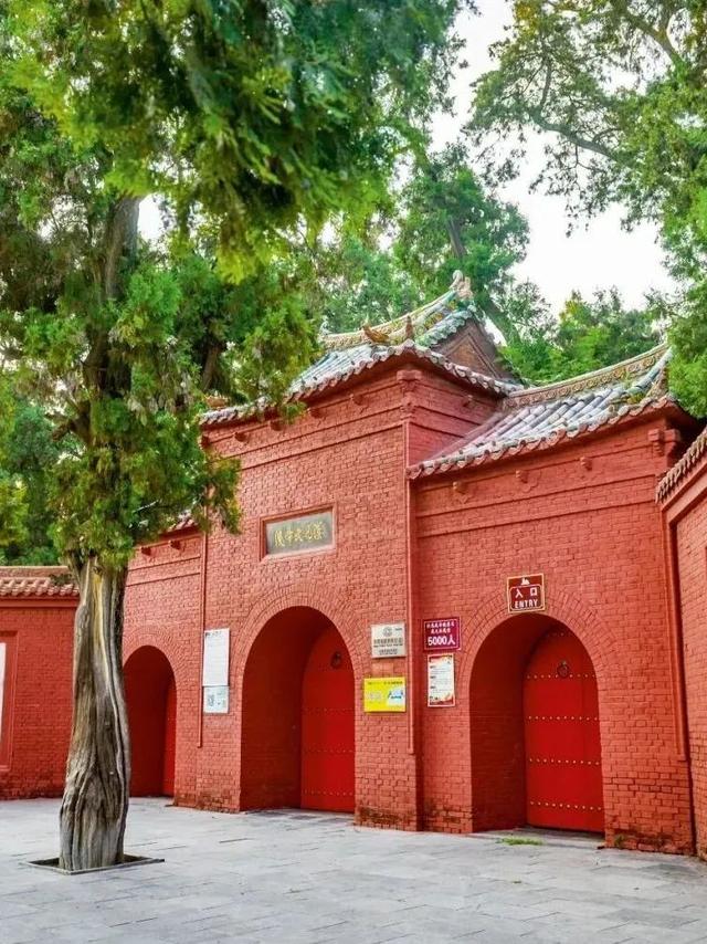 啥？我的旅游搭子来自千年前