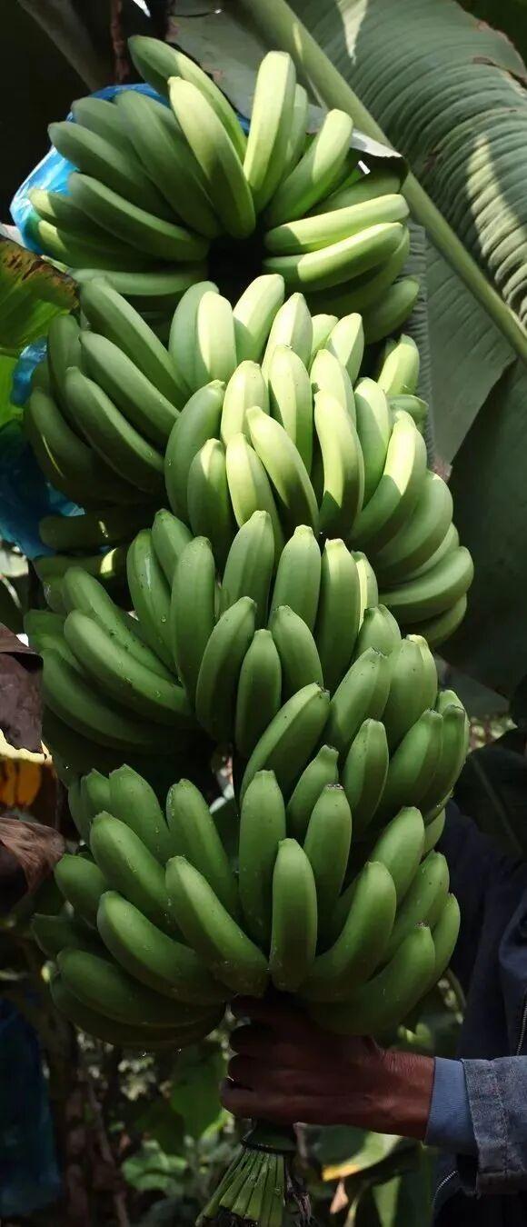 新华社携手董宇辉，走进广西的蔚蓝海岸……