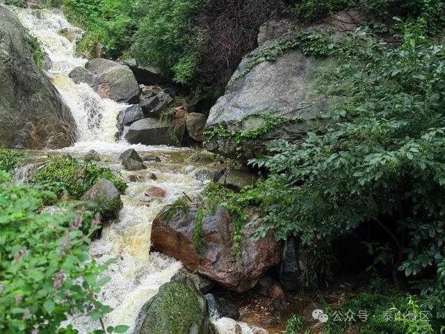 泰山雨霁：云雾织仙境，霞光染群峰，这泼墨山水里藏着夏日最治愈的奔赴
