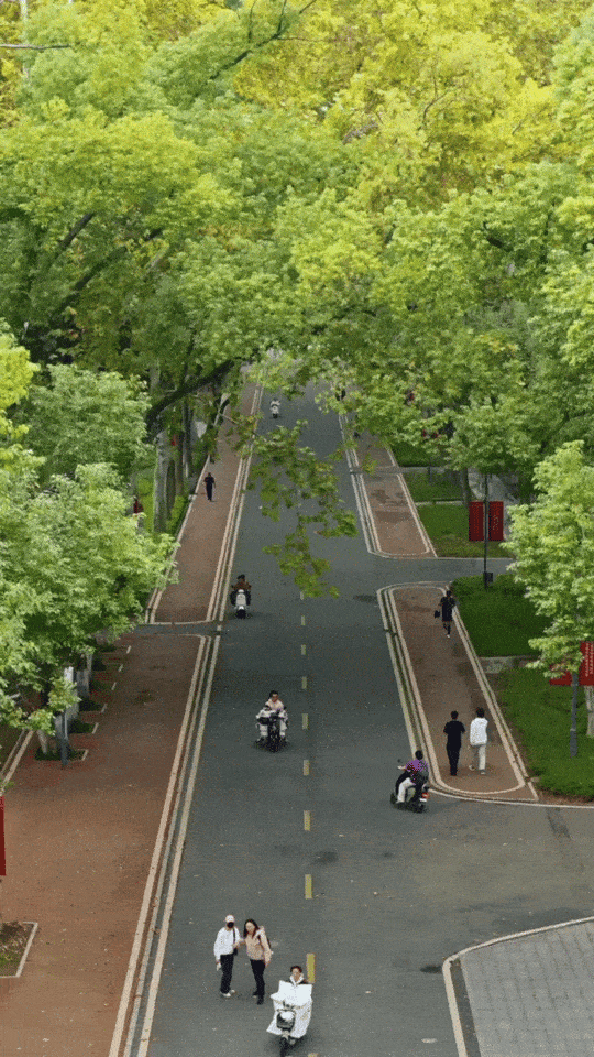 最好的秋天，在华师！