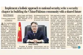 驻巴基斯坦大使姜再冬：切实保护旅巴中国公民安全图片