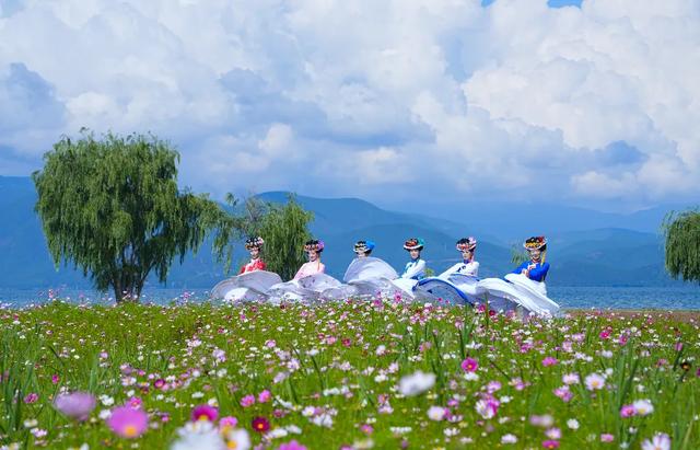 20万浙江人已打卡!这场活动把凉山带“热”