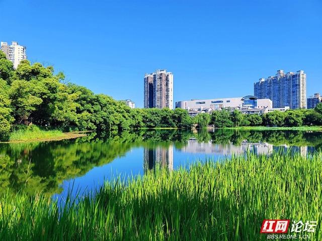 高清湖南丨天幕如画，城市生光，这才是常德的夏天