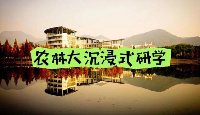 @镇海家长，溜娃好去处！秋假的宝藏路线有……