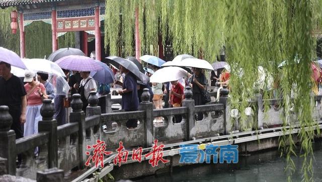 雨中赏泉，济南趵突泉似江南画卷